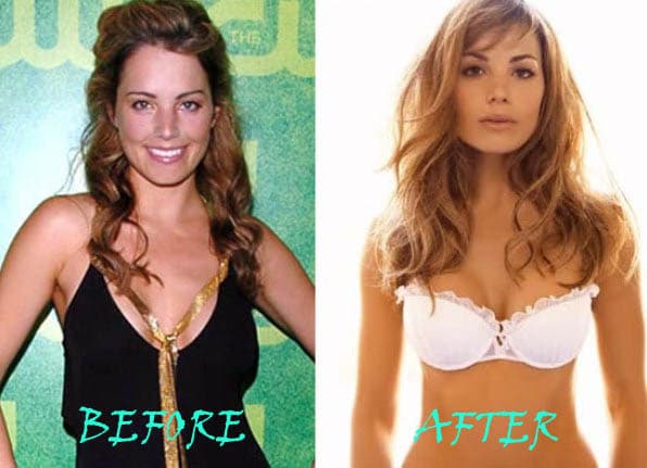 Erica Durance Before Plastic Surgery 1