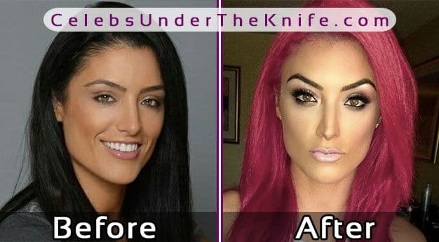 Eva Marie Wwe Plastic Surgery Before And After 1